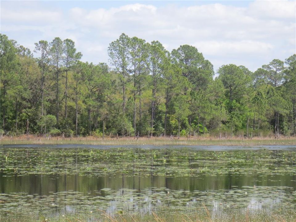 На продажу: $485,000 (15.37 acres)