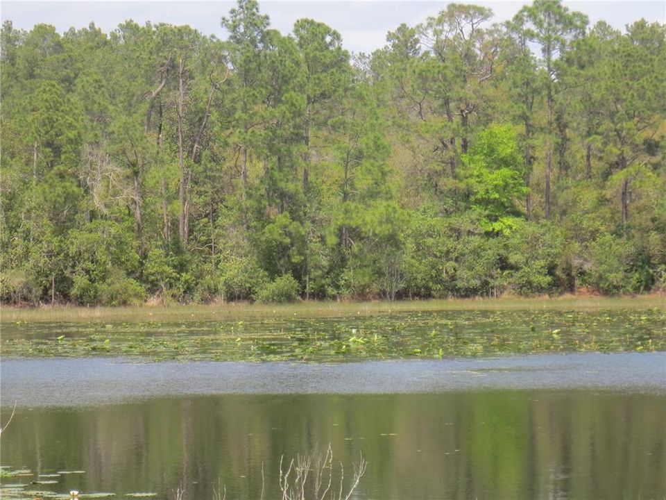 На продажу: $485,000 (15.37 acres)