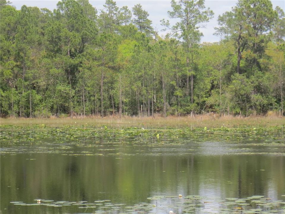 На продажу: $485,000 (15.37 acres)