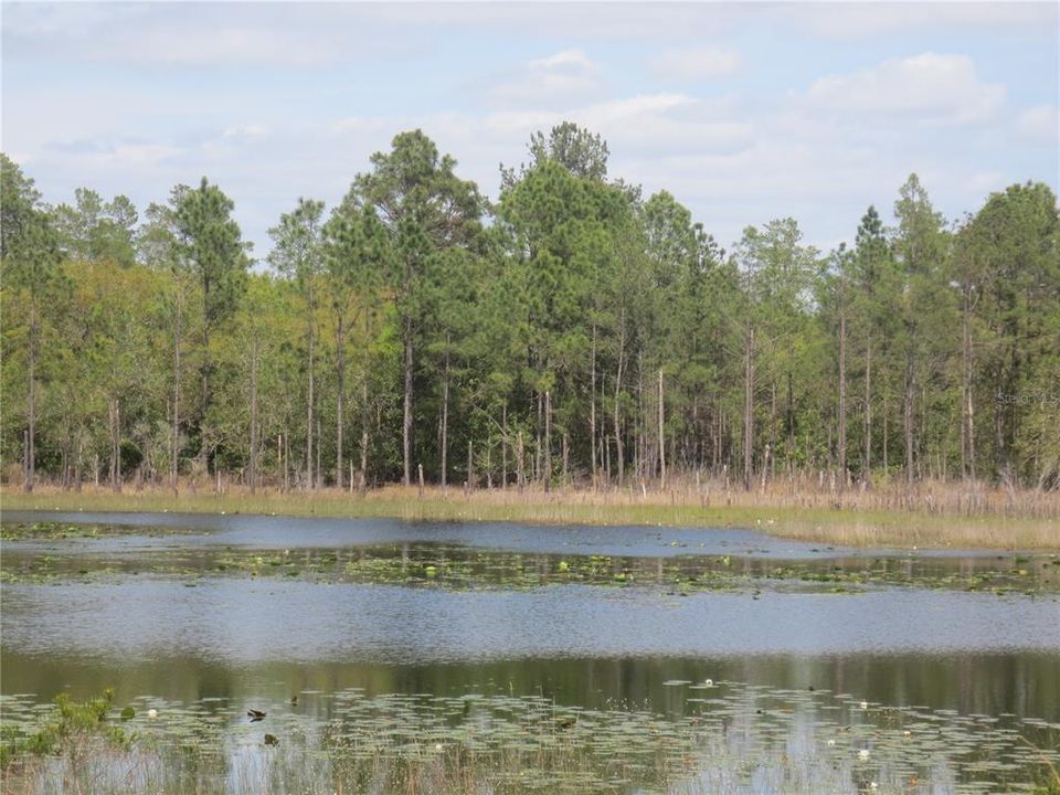 На продажу: $485,000 (15.37 acres)