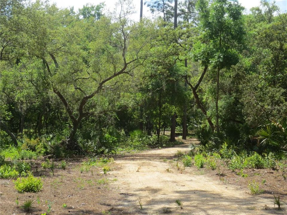 En Venta: $485,000 (15.37 acres)