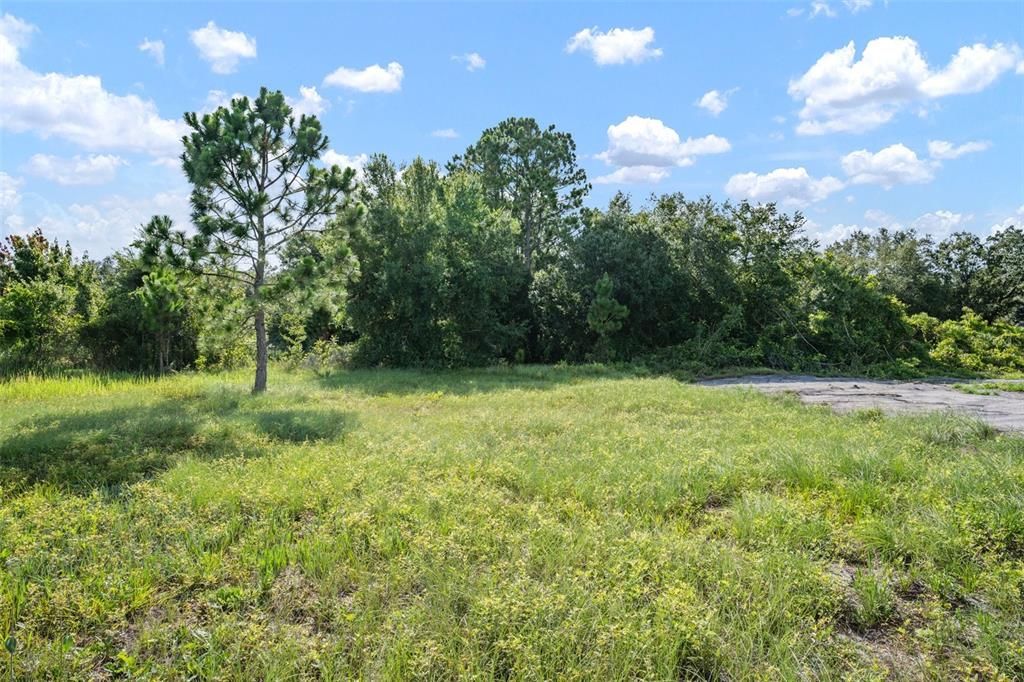 For Sale: $64,900 (1.52 acres)