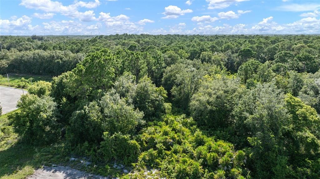 На продажу: $64,900 (1.52 acres)