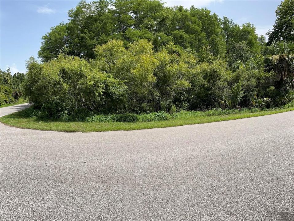 View of property from Houston Ave.