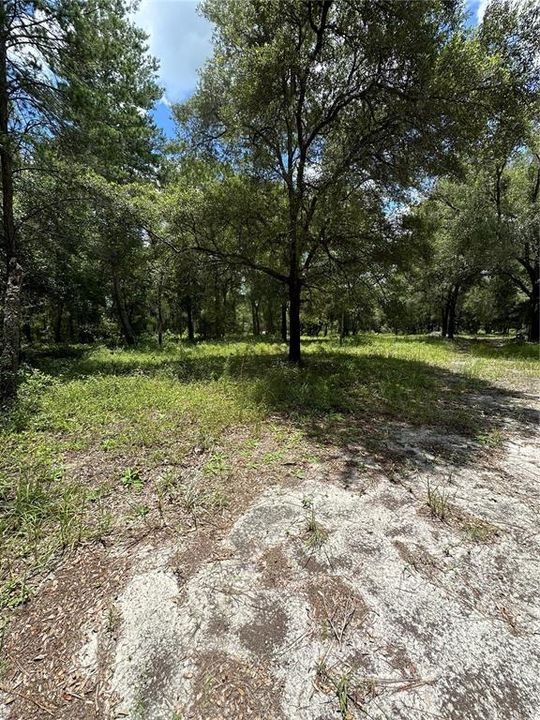 For Sale: $240,000 (5.00 acres)