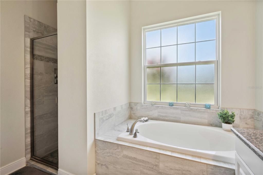 Primary Bath with soaking tub and walk in shower