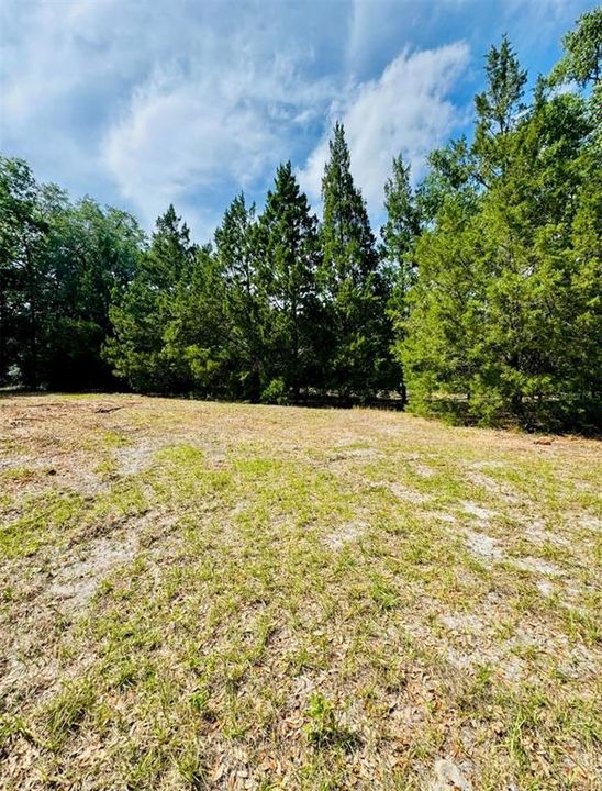 For Sale: $174,000 (3.00 acres)