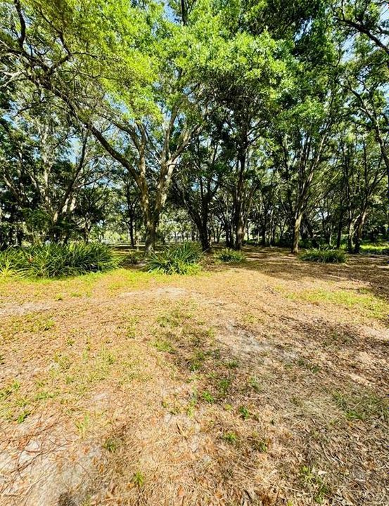 For Sale: $174,000 (3.00 acres)