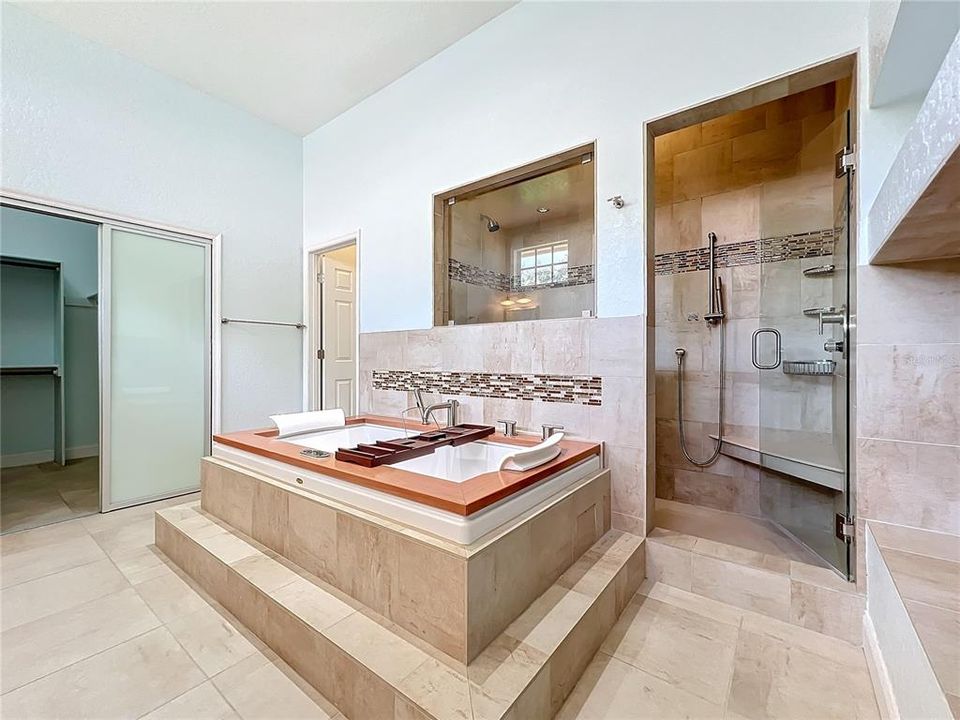 Owner's tub and shower