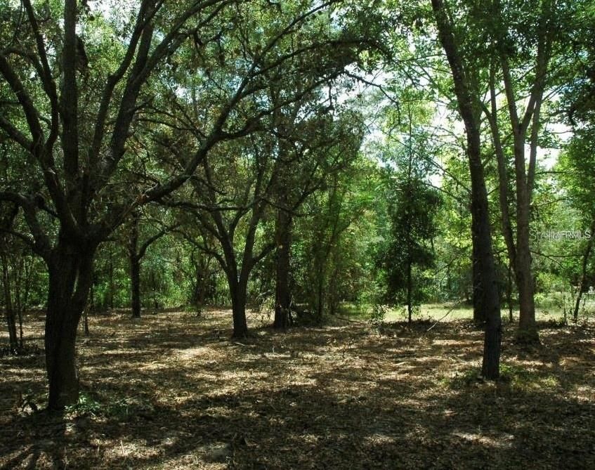 En Venta: $39,000 (0.36 acres)