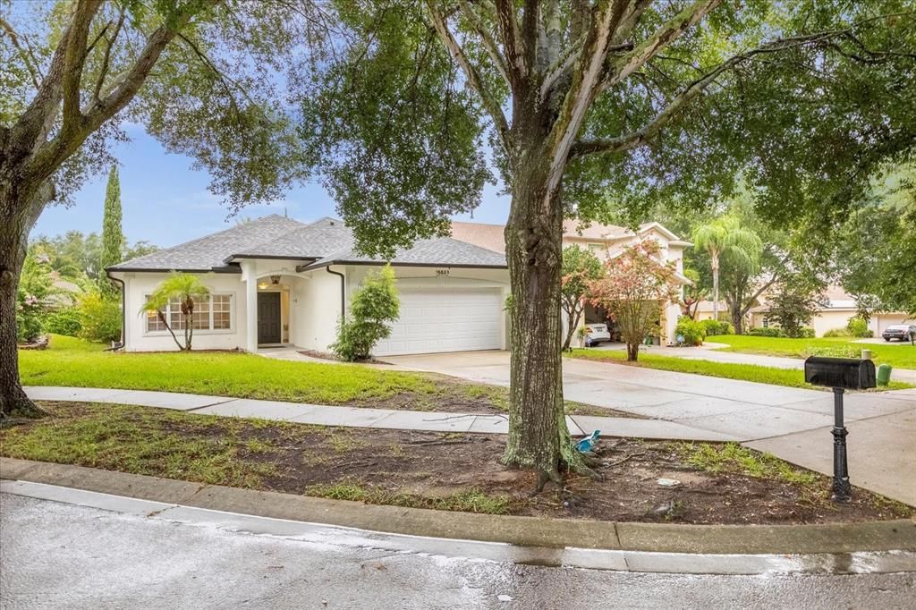 Street View of the Property