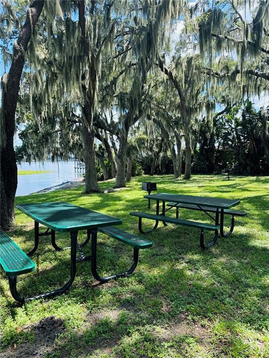 Community Park/Picnic area