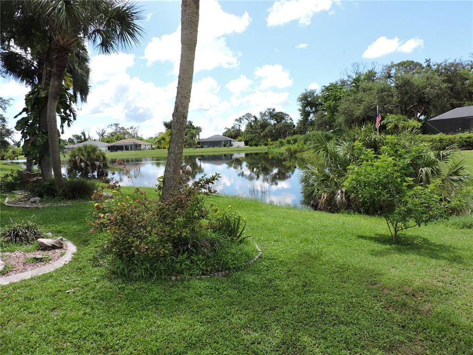 View outside pool