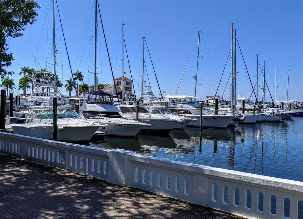 Downtown Bradenton Riverwalk views