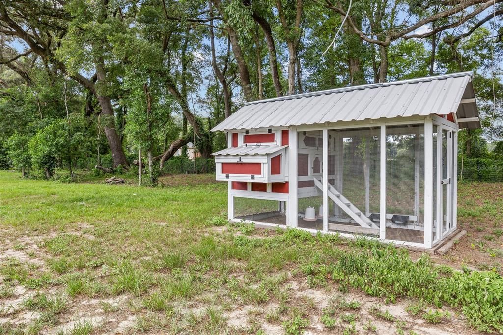 Chicken Coop