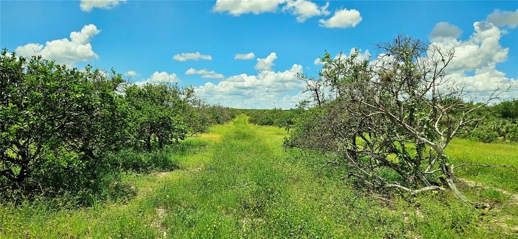 En Venta: $199,000 (9.54 acres)