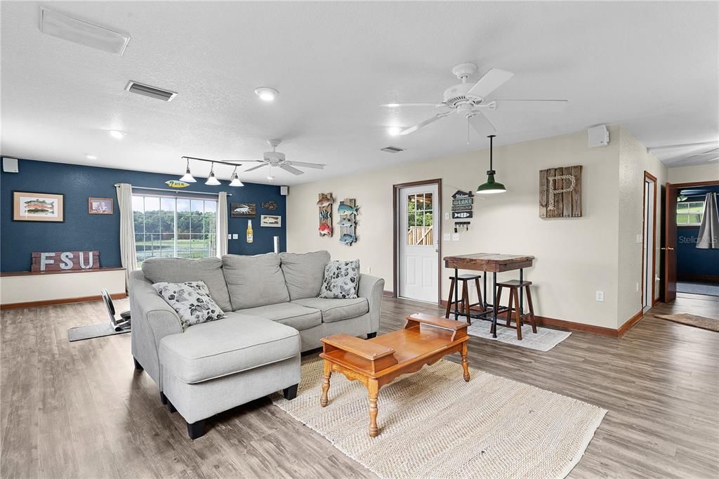 Down Stairs Living Room