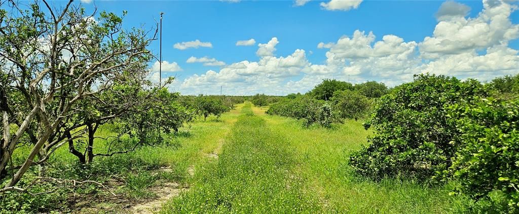 Active With Contract: $99,000 (4.92 acres)