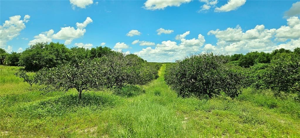 Active With Contract: $99,000 (4.92 acres)