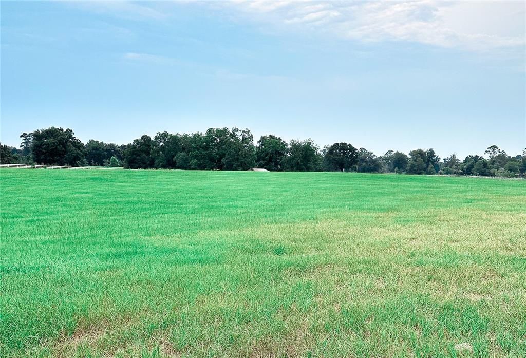 For Sale: $279,000 (15.03 acres)