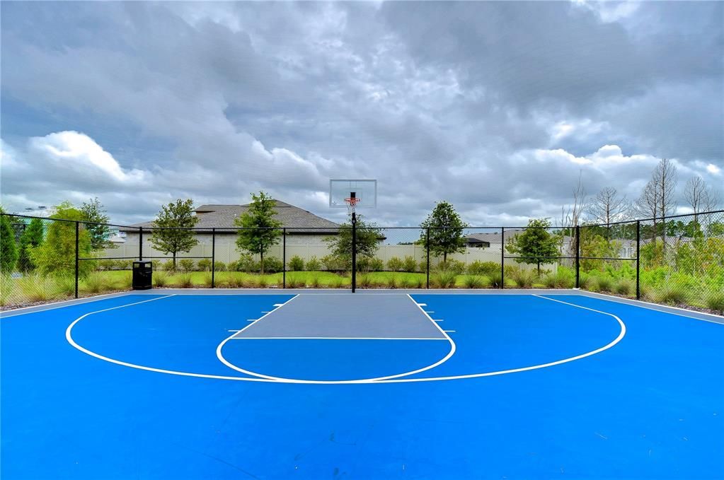 Half-Court Basketball Court