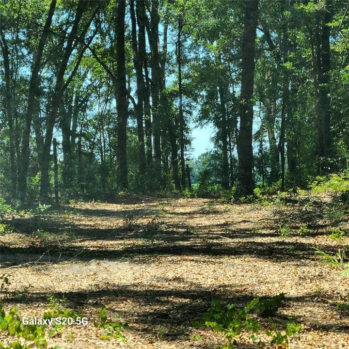 На продажу: $100,000 (5.02 acres)