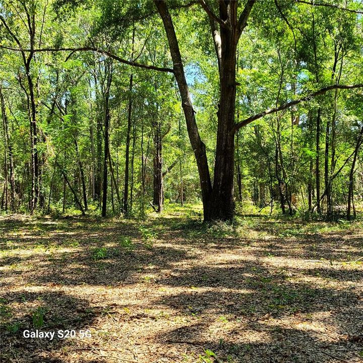 На продажу: $100,000 (5.02 acres)