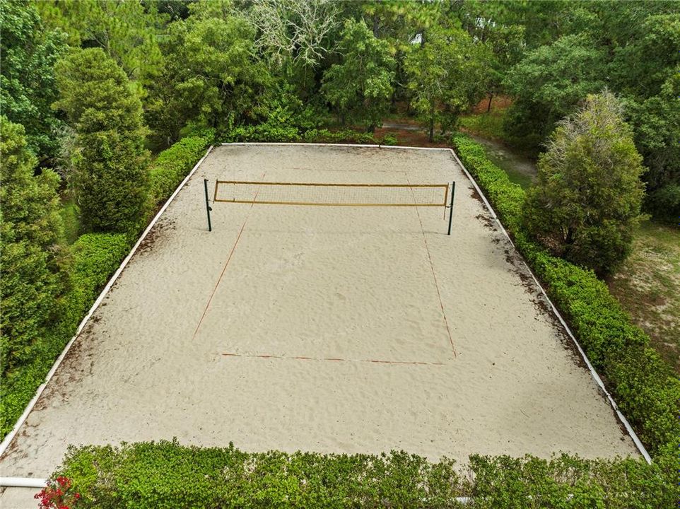 Community Volleyball Court