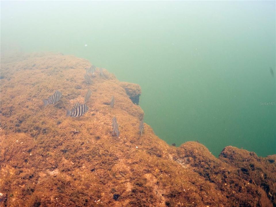 На продажу: $2,600,000 (35.50 acres)