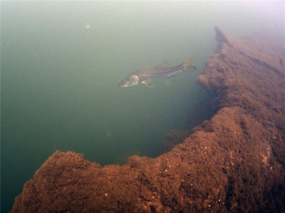 На продажу: $2,600,000 (35.50 acres)