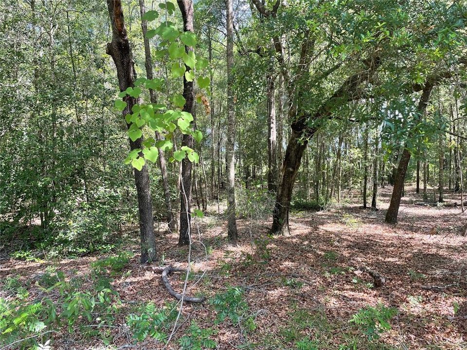 En Venta: $179,000 (8.90 acres)