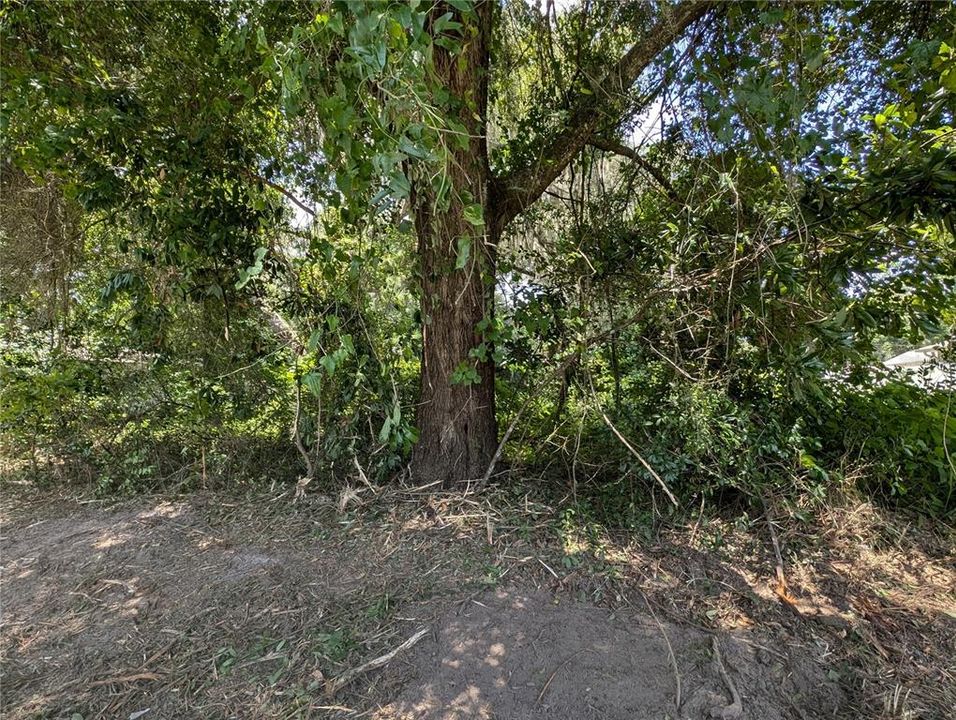 En Venta: $39,900 (0.24 acres)