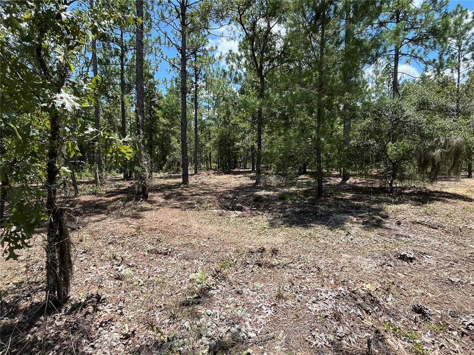 En Venta: $7,400 (0.23 acres)