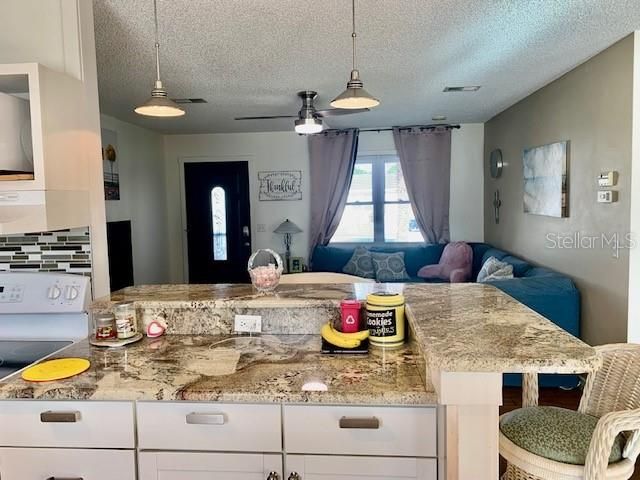 Kitchen open to Living room