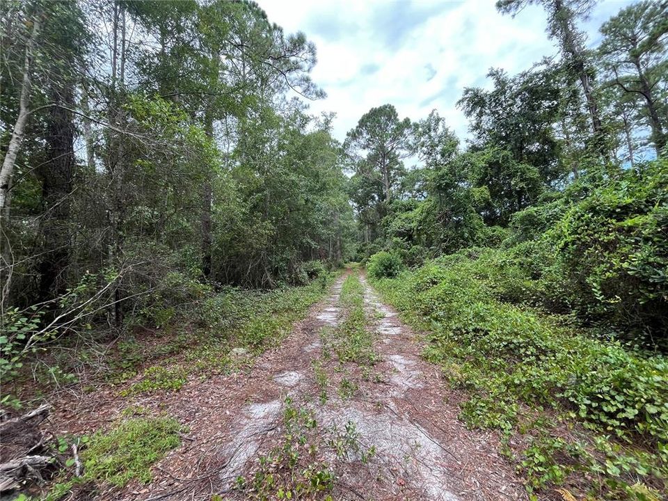 En Venta: $8,900 (0.23 acres)