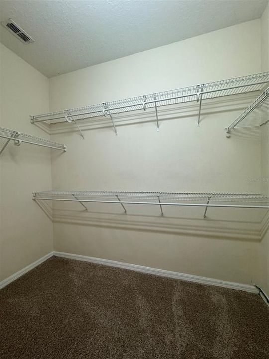 Walk In Closet in Master