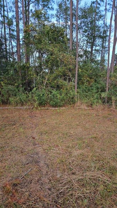 For Sale: $57,500 (1.15 acres)