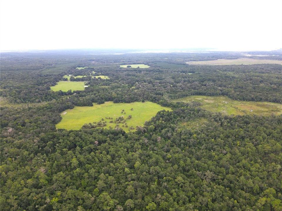 For Sale: $2,900,000 (135.00 acres)