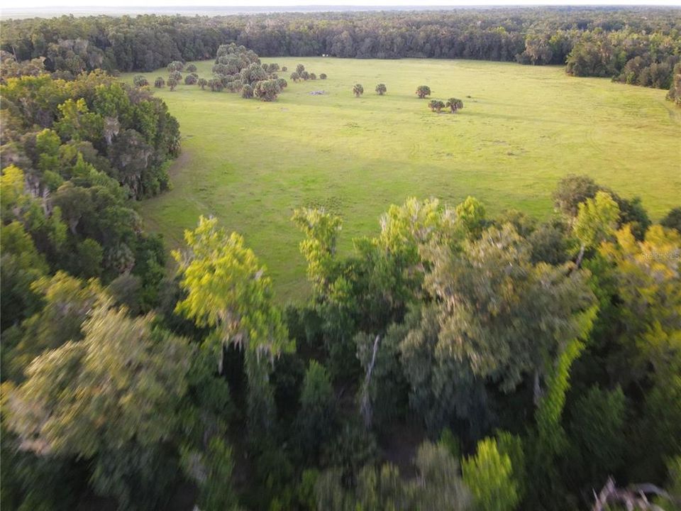 For Sale: $2,900,000 (135.00 acres)