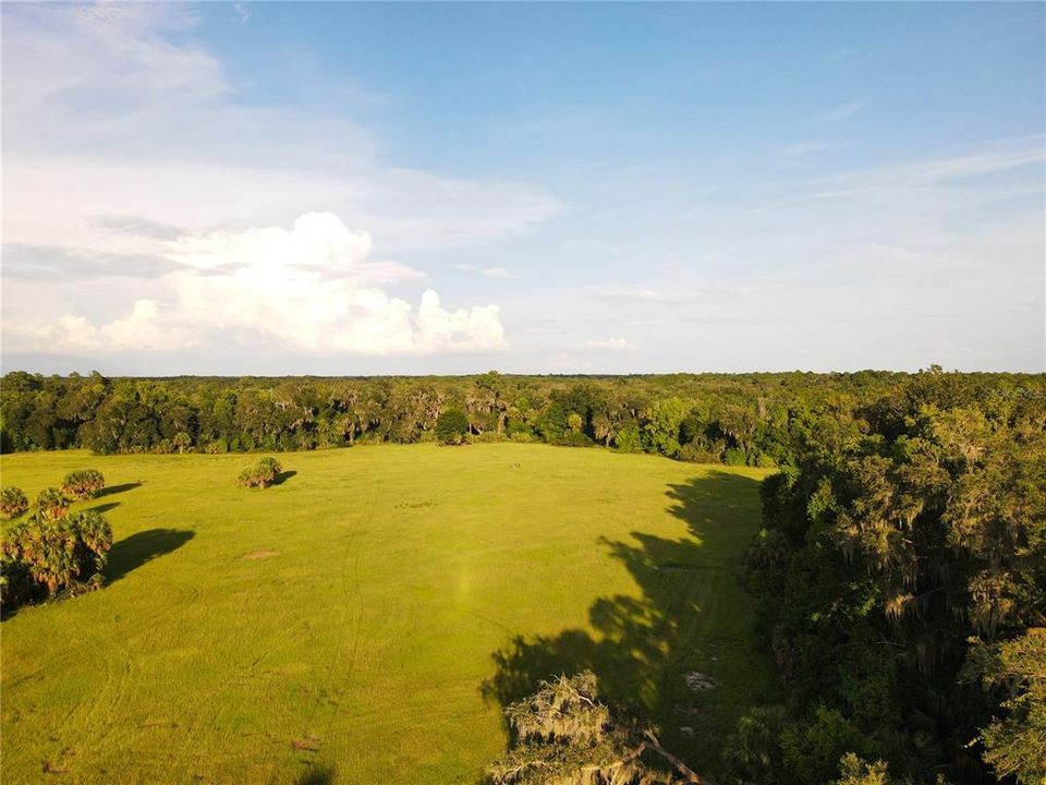 For Sale: $2,900,000 (135.00 acres)