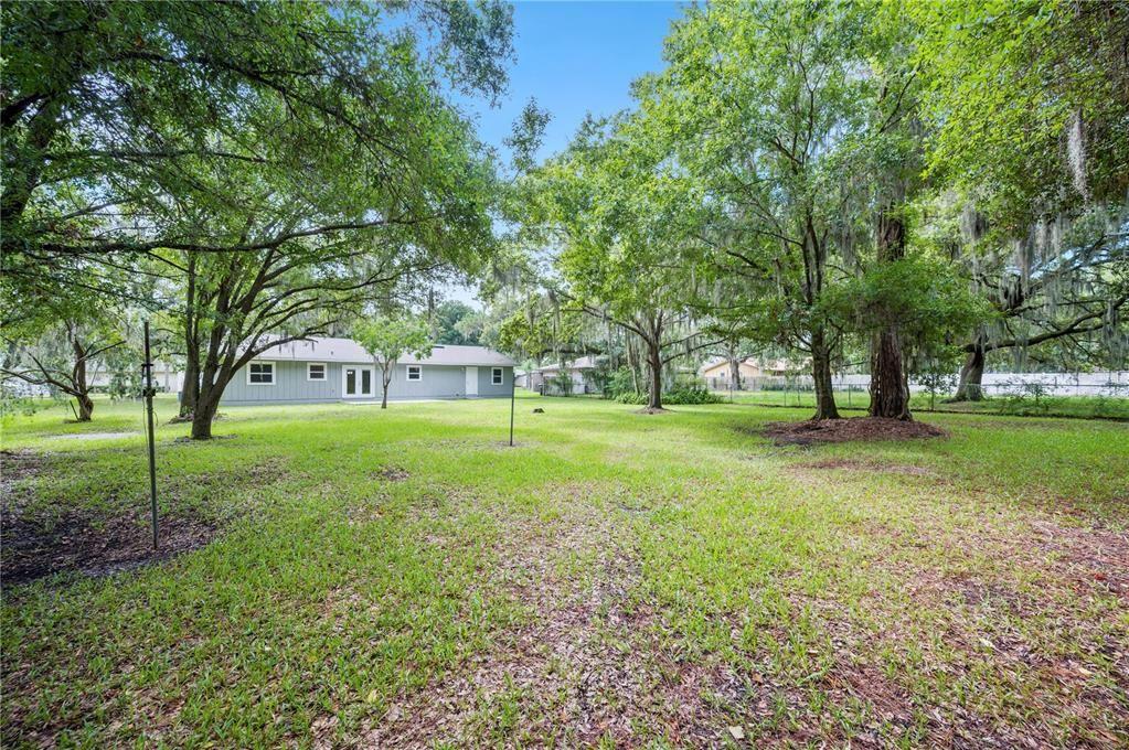 Huge Back Yard