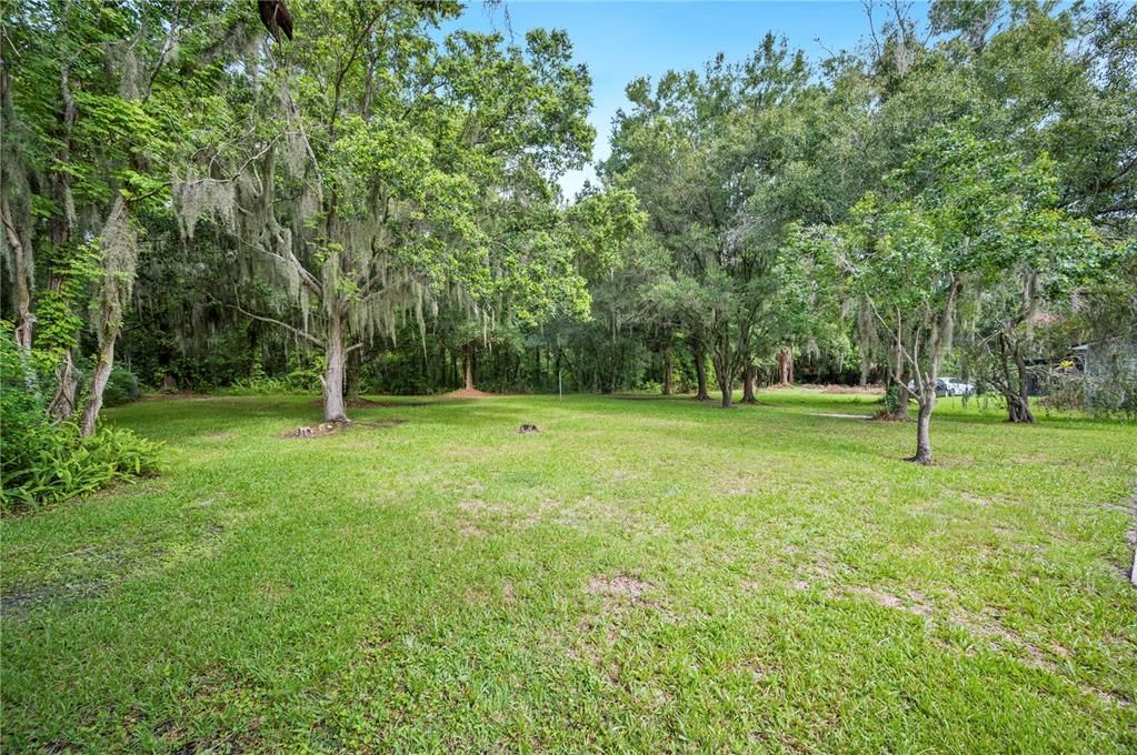 Full trees on property in Backyard