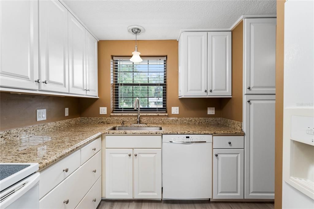 GREAT VIEW WHILE LOADING DISHES INTO UPGRADED DISHWASHER  AND PULL OUT PANTRY STORAGE IN TALL CABINET