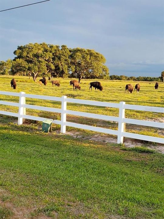 На продажу: $260,000 (0.07 acres)