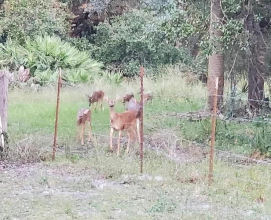 На продажу: $260,000 (0.07 acres)