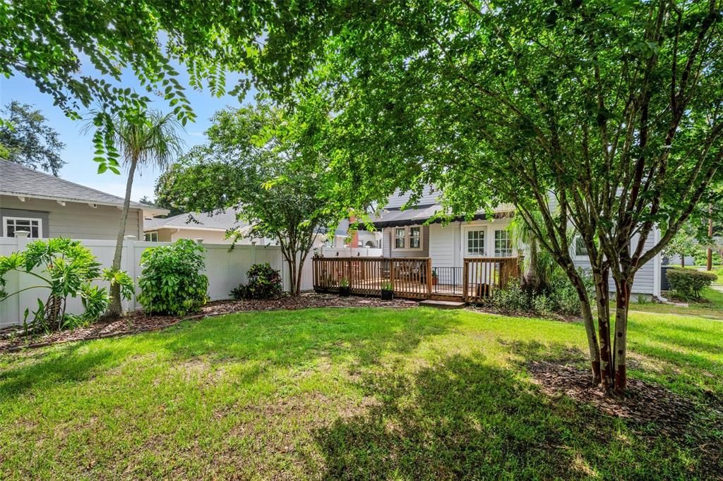 Fenced Back Yard