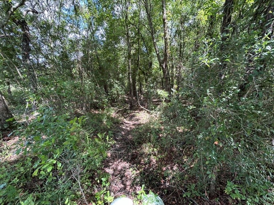 合同活跃: $39,500 (5.00 acres)