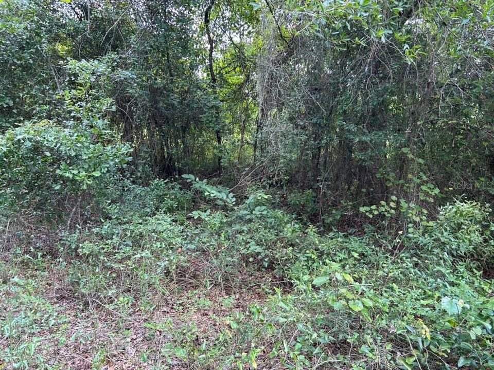 Activo con contrato: $39,500 (5.00 acres)