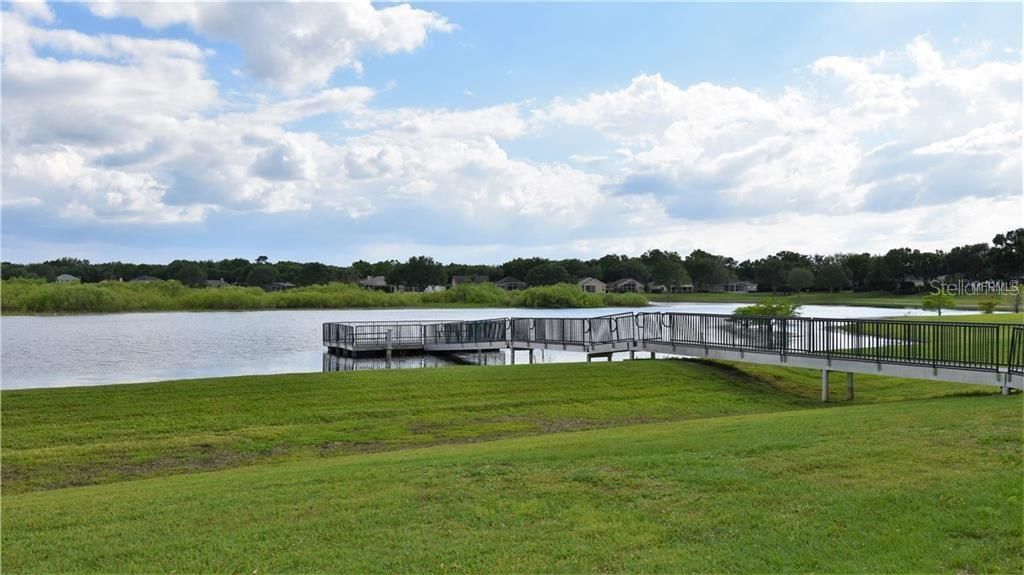 Dock at the park