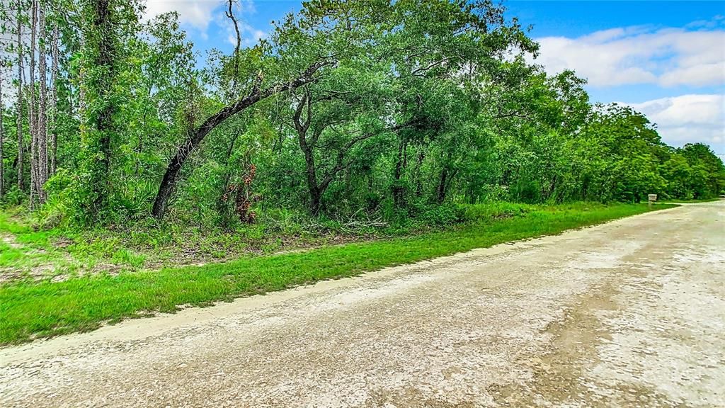 На продажу: $35,000 (0.46 acres)